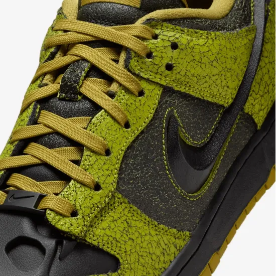 Кросівки Nike Dunk Low Retro QS HV6103-300