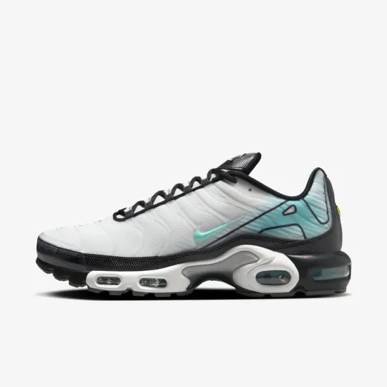 Кросівки Nike Air Max Plus Mercurial Vapor HV6225-100