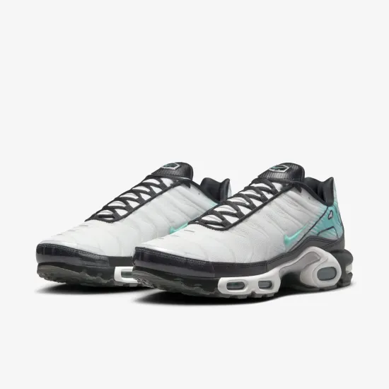 Кросівки Nike Air Max Plus Mercurial Vapor HV6225-100
