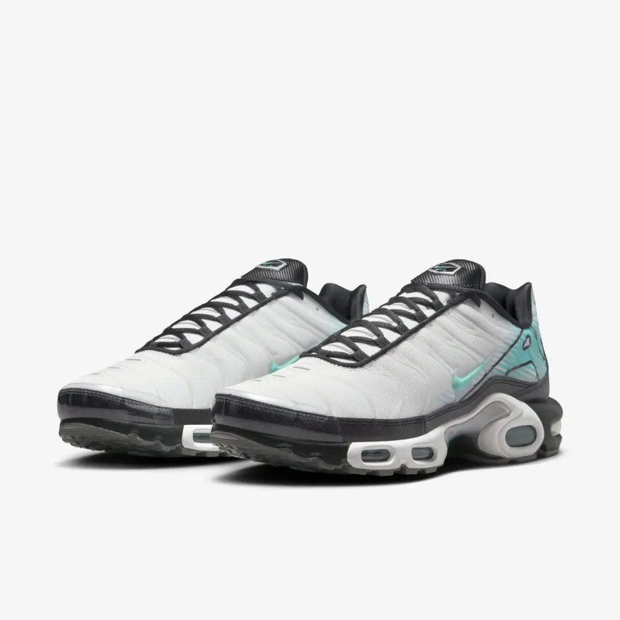 Кросівки Nike Air Max Plus Mercurial Vapor HV6225-100
