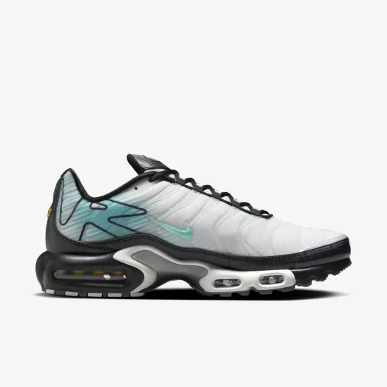 Кросівки Nike Air Max Plus Mercurial Vapor HV6225-100