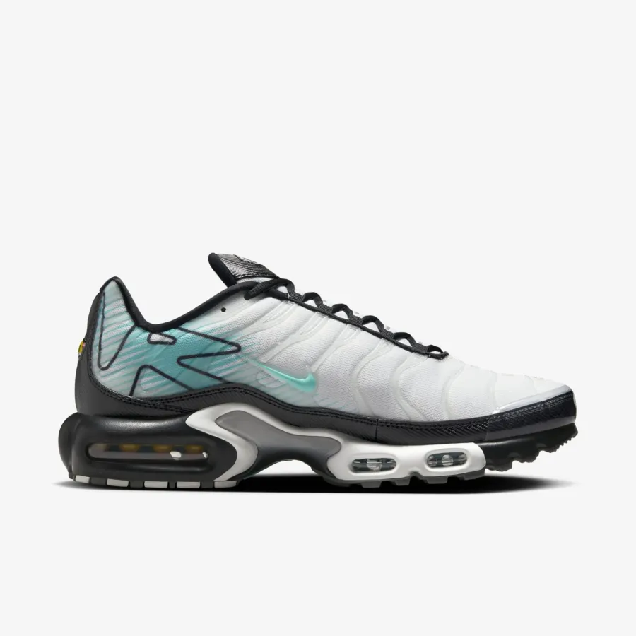 Кросівки Nike Air Max Plus Mercurial Vapor HV6225-100