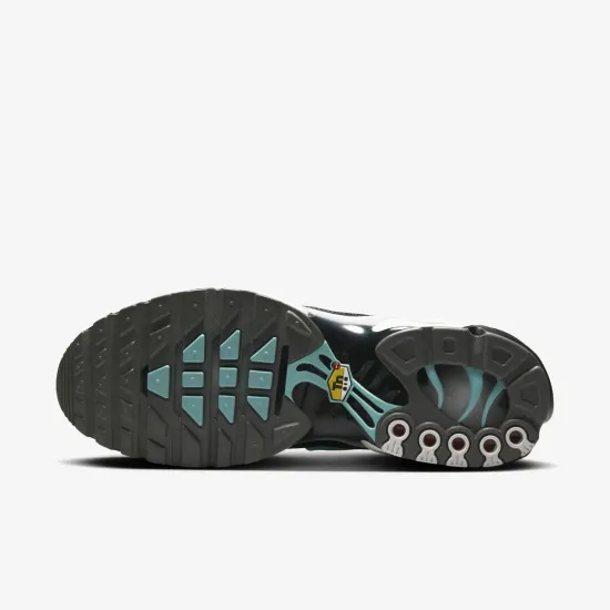 Кросівки Nike Air Max Plus Mercurial Vapor HV6225-100