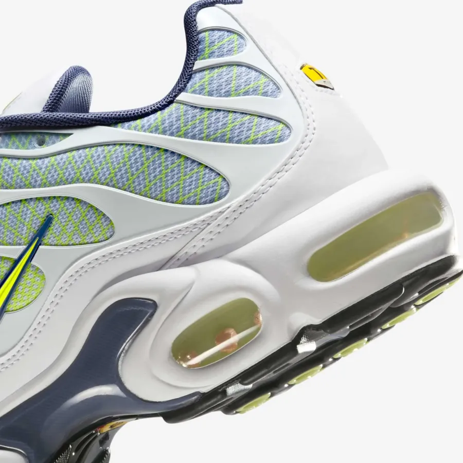Кросівки Nike Air Max Plus HV6227-001