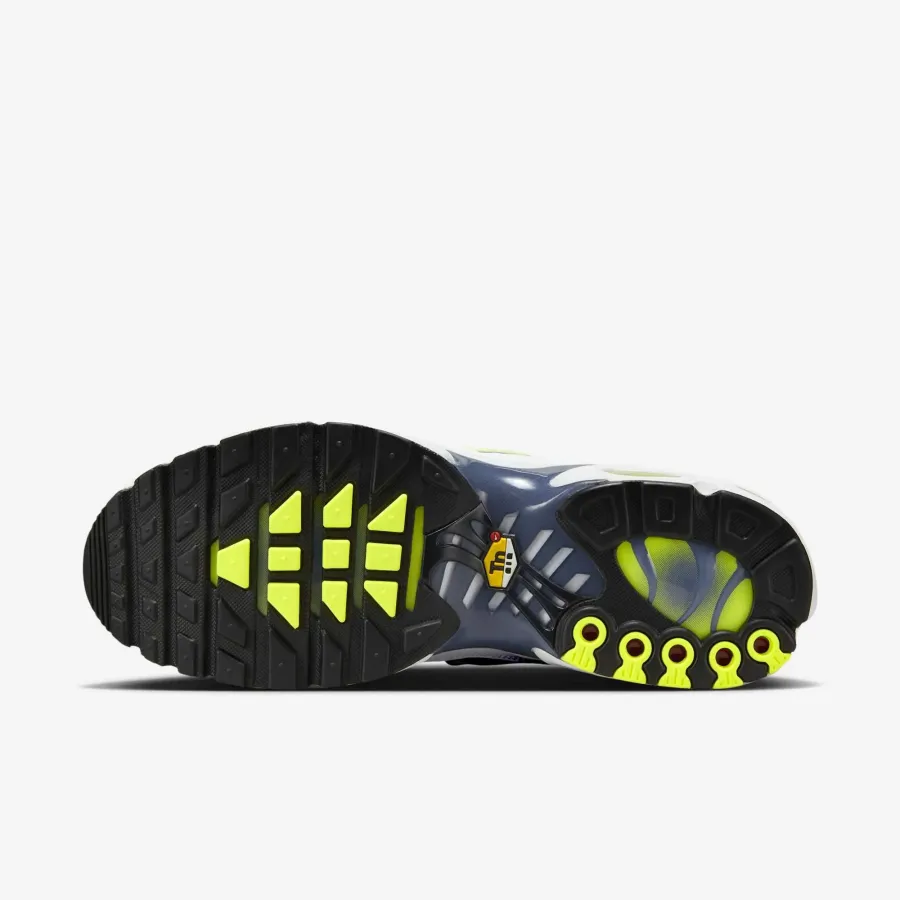 Кросівки Nike Air Max Plus HV6227-001