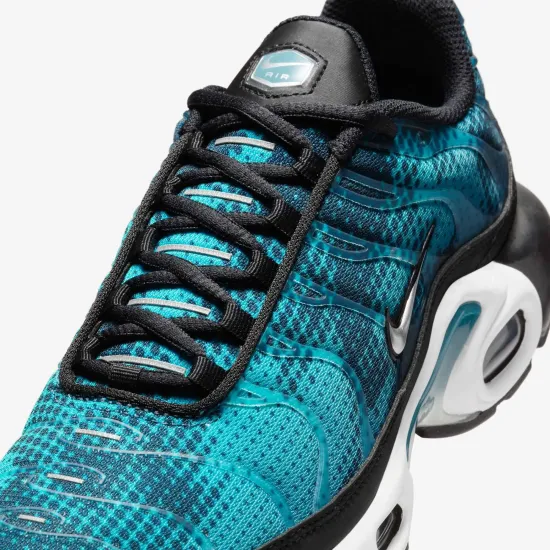 Кросівки Nike Air Max Plus HV6355-001