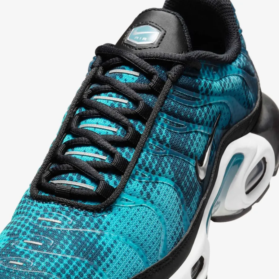 Кросівки Nike Air Max Plus HV6355-001