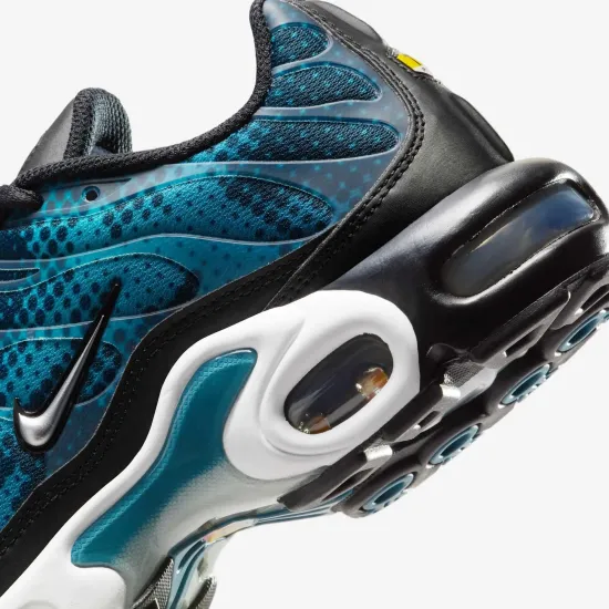 Кросівки Nike Air Max Plus HV6355-001