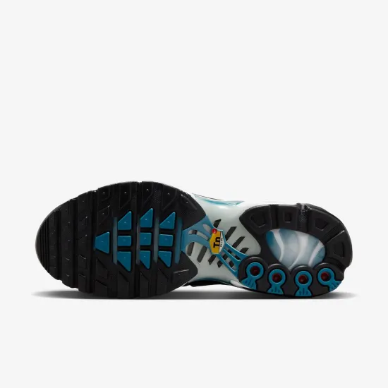 Кросівки Nike Air Max Plus HV6355-001