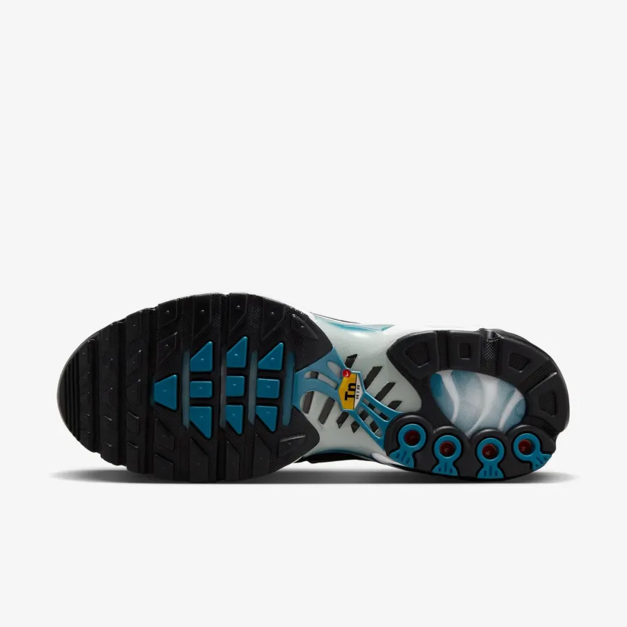 Кросівки Nike Air Max Plus HV6355-001