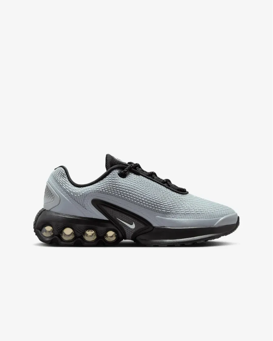 Кросівки Nike Air Max Dn HV6419-001