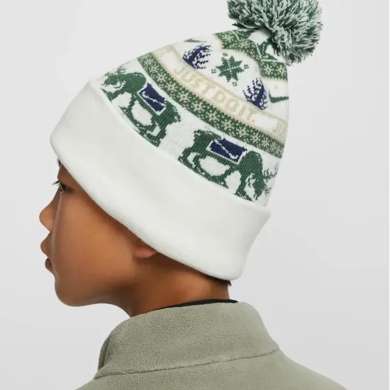 Шапка Nike Peak Beanie SC HV7025-133