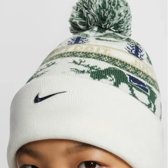 Шапка Nike Peak Beanie SC HV7025-133