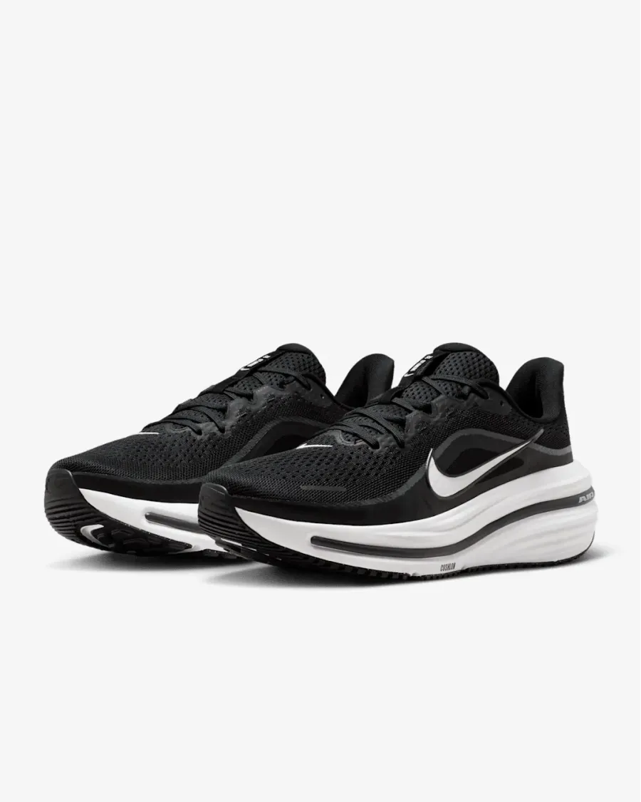 Кросівки Nike Winflo 12 HV9272-002