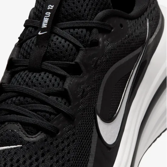 Кросівки Nike Winflo 12 HV9272-002