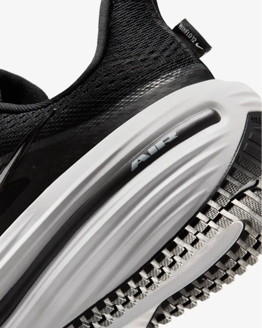 Кросівки Nike Winflo 12 HV9272-002