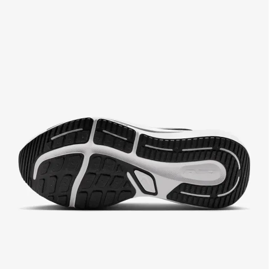 Кросівки Nike Winflo 12 HV9272-002
