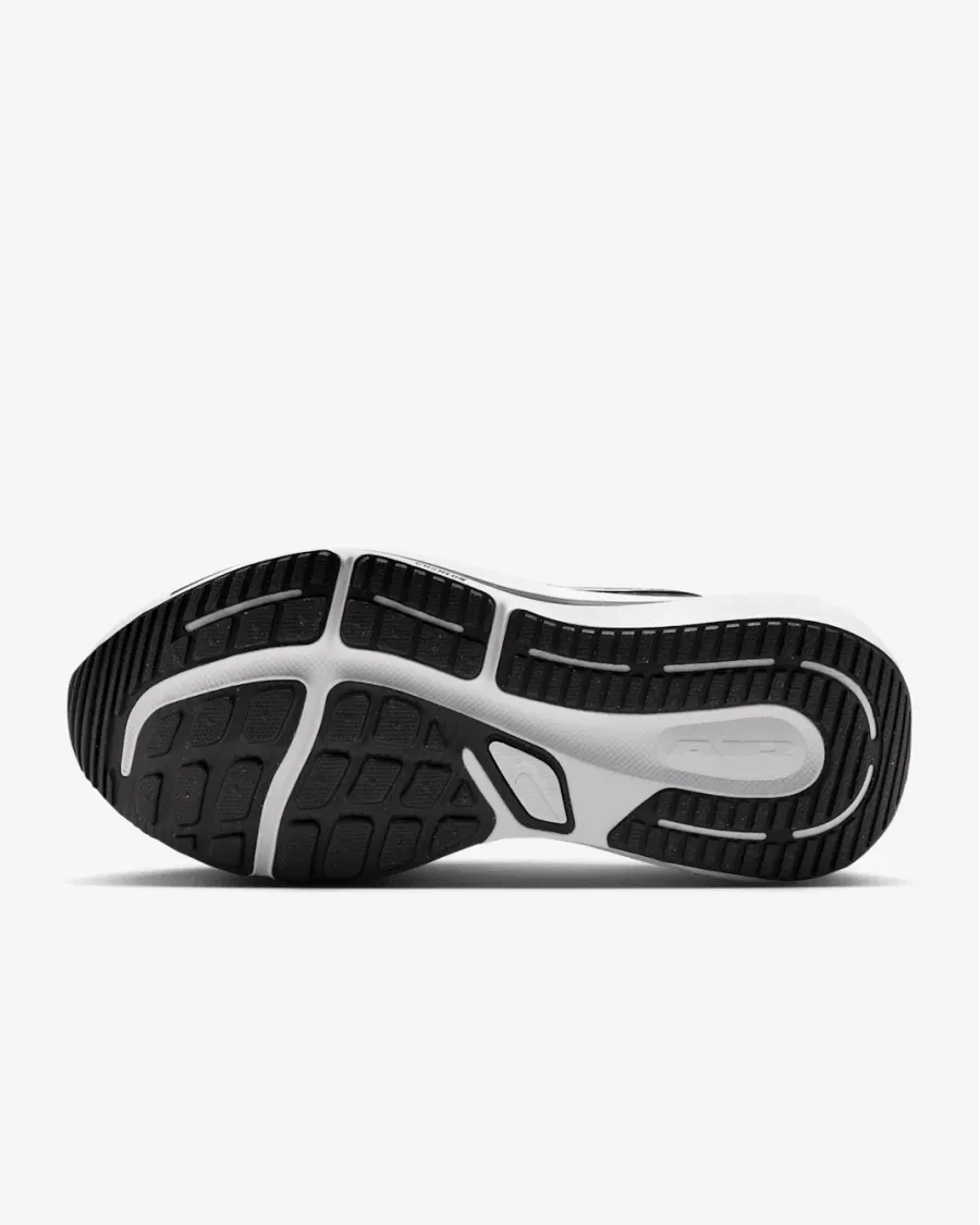 Кросівки Nike Winflo 12 HV9272-002