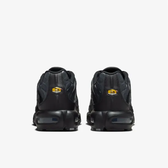 Кросівки Nike Air Max Plus PSG IB2253-001