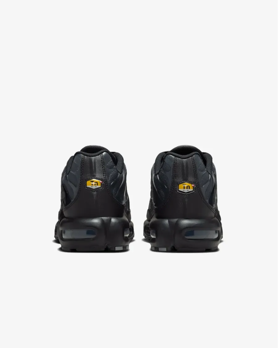Кросівки Nike Air Max Plus PSG IB2253-001
