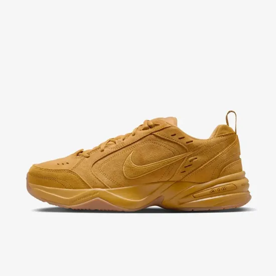 Кросівки Nike Air Monarch IV SE IB2281-700