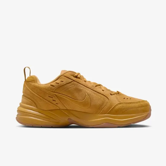 Кросівки Nike Air Monarch IV SE IB2281-700