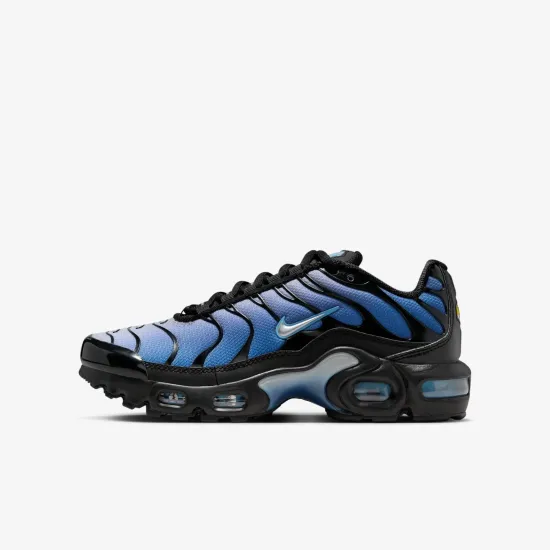Кросівки Nike Air Max Plus IB2867-001