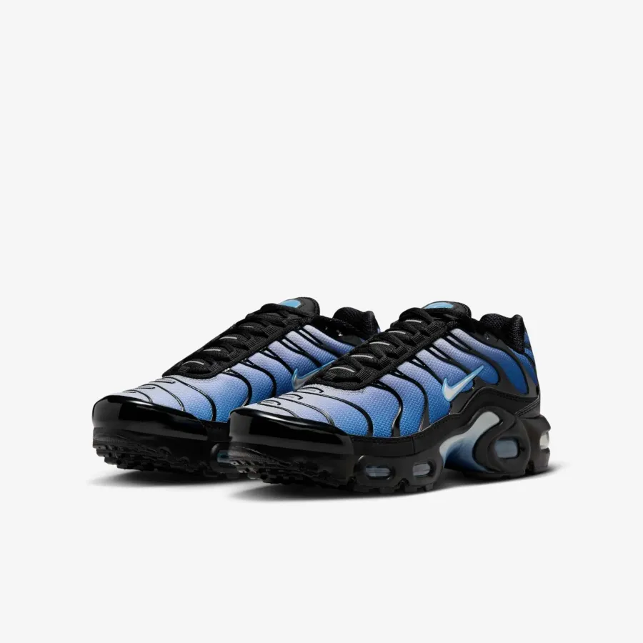 Кросівки Nike Air Max Plus IB2867-001