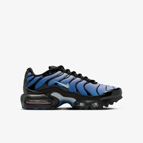 Кросівки Nike Air Max Plus IB2867-001