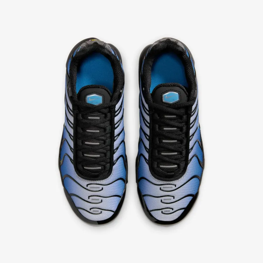 Кросівки Nike Air Max Plus IB2867-001