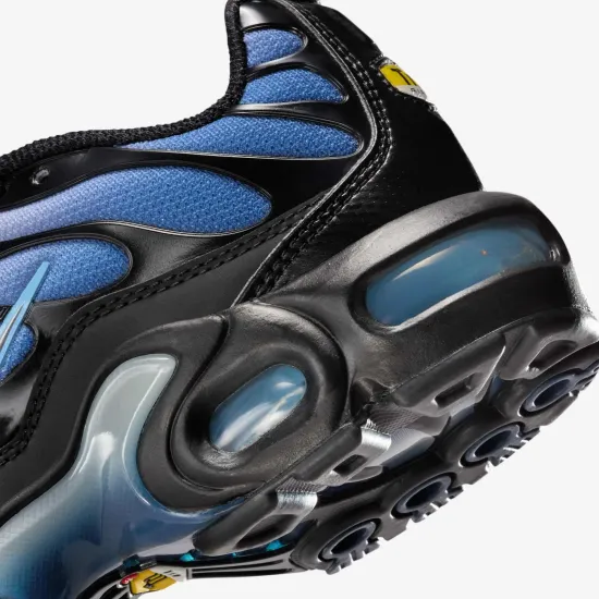 Кросівки Nike Air Max Plus IB2867-001