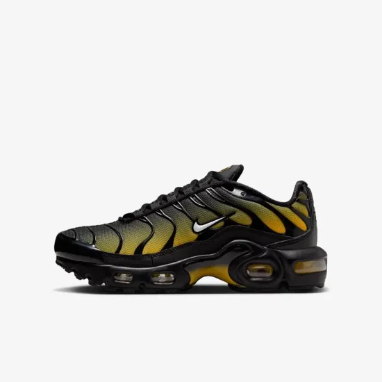 Кросівки Nike Air Max Plus IB2870-001