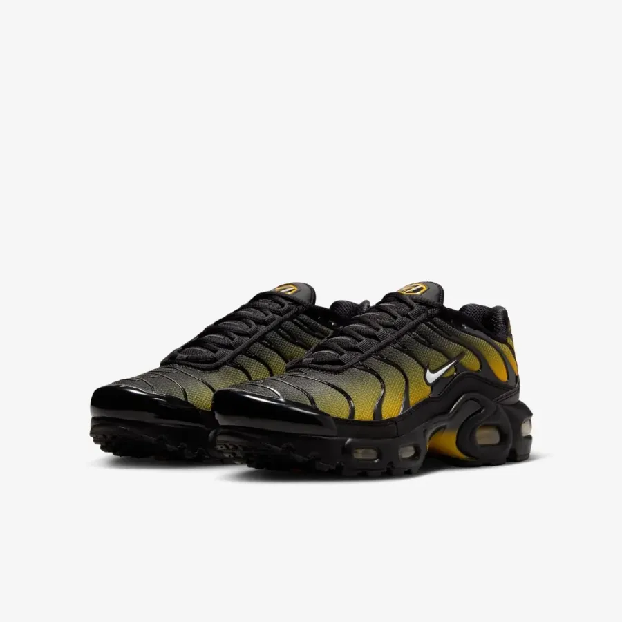 Кросівки Nike Air Max Plus IB2870-001