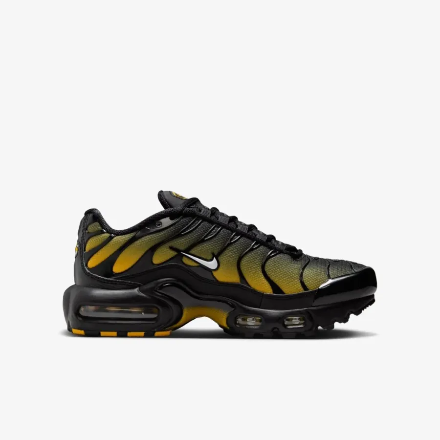 Кросівки Nike Air Max Plus IB2870-001