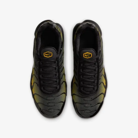 Кросівки Nike Air Max Plus IB2870-001