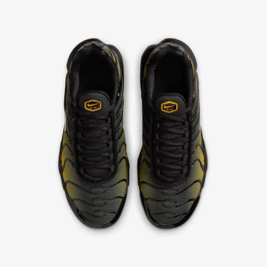 Кросівки Nike Air Max Plus IB2870-001