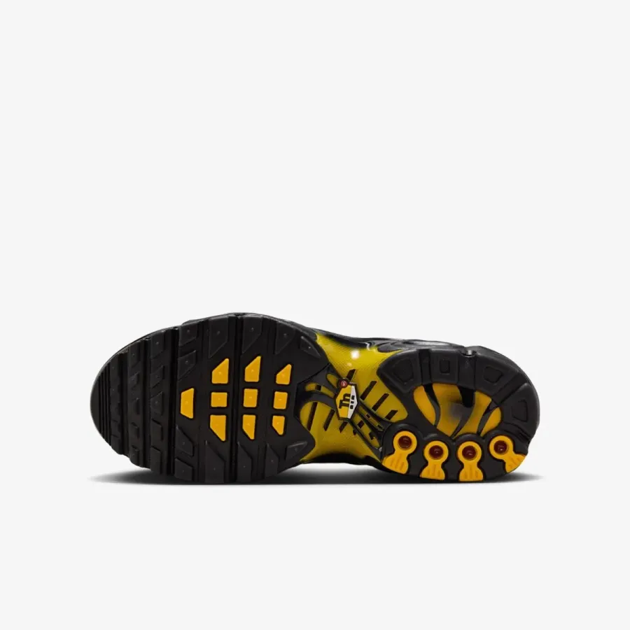 Кросівки Nike Air Max Plus IB2870-001