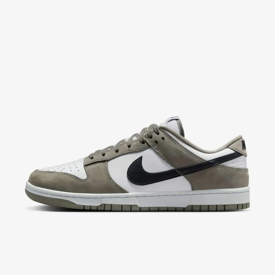 Кросівки Nike Dunk Low IB3079-300