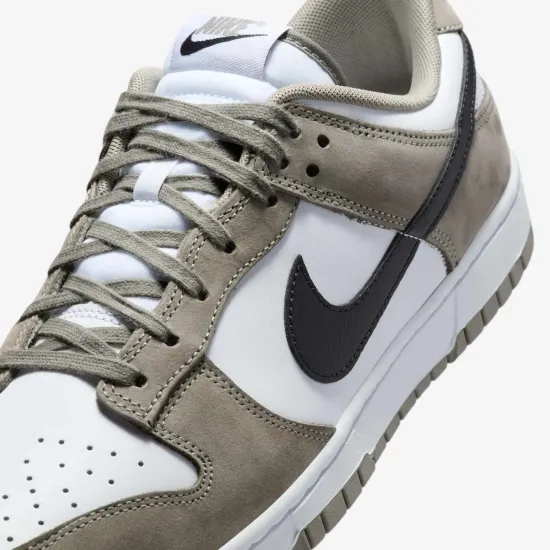 Кросівки Nike Dunk Low IB3079-300