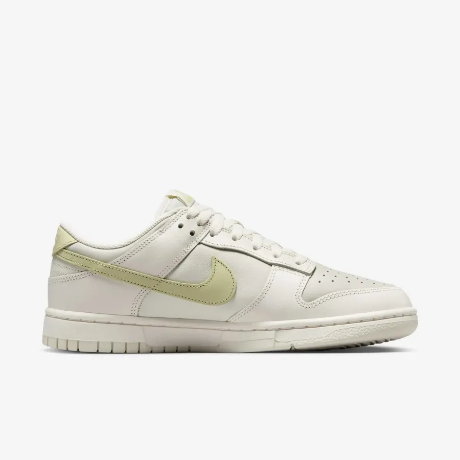 Кросівки Nike Dunk Low IB3484-001