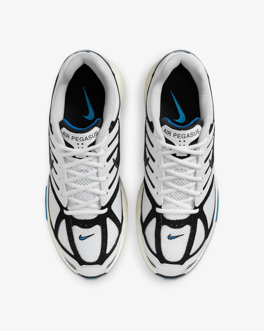Кросівки Nike Air Pegasus 2005 IB3971-100