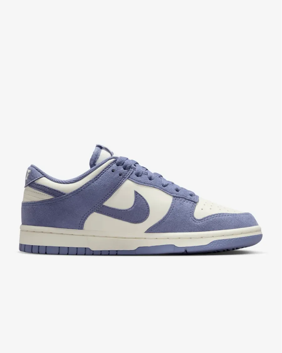 Кросівки Nike Dunk Low IB4417-103