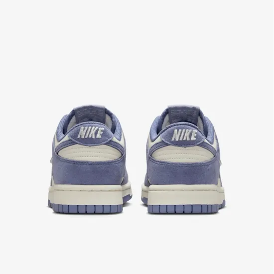 Кросівки Nike Dunk Low IB4417-103