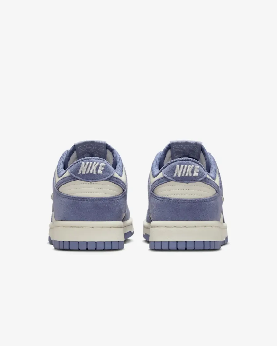 Кросівки Nike Dunk Low IB4417-103