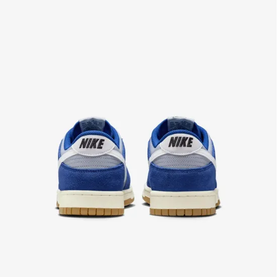Кросівки Nike Dunk Low IB6399-003