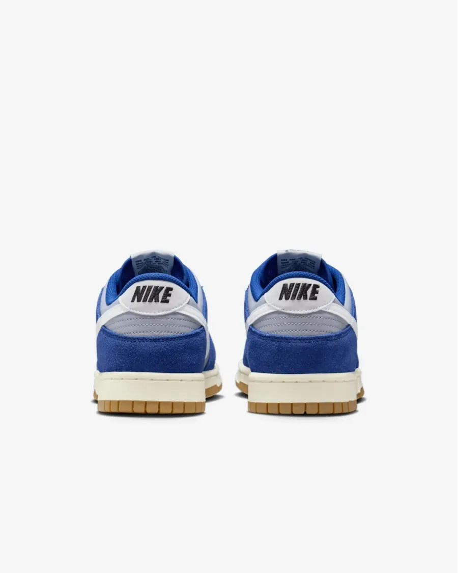 Кросівки Nike Dunk Low IB6399-003