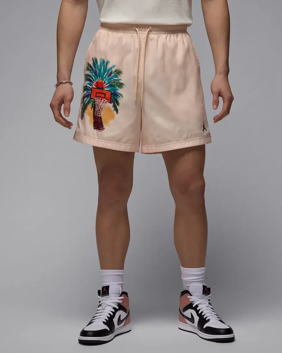 Шорти Nike Air Jordan Essentials IB7276-838