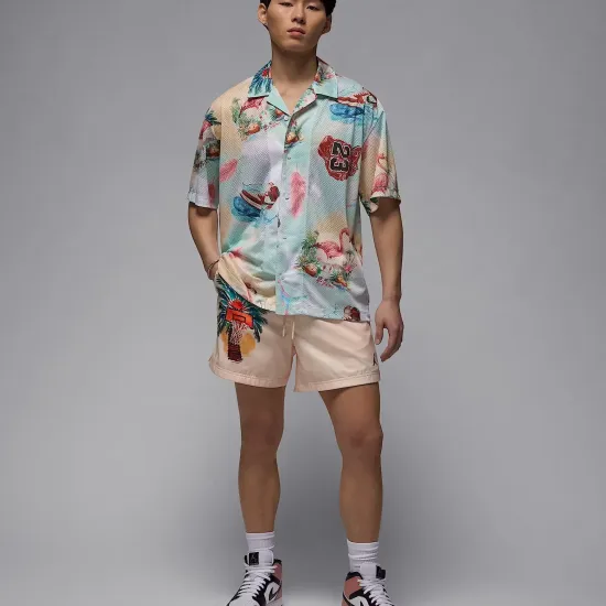 Шорти Nike Air Jordan Essentials IB7276-838