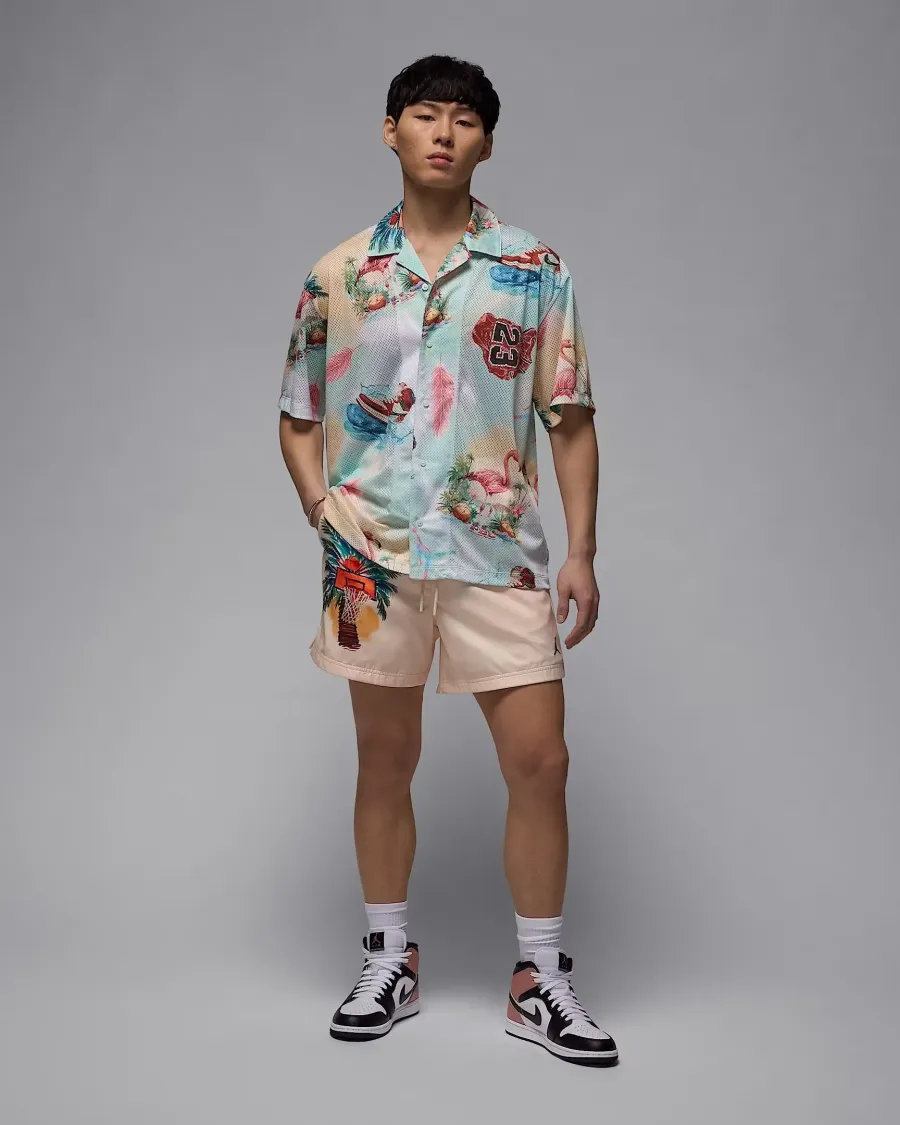 Шорти Nike Air Jordan Essentials IB7276-838