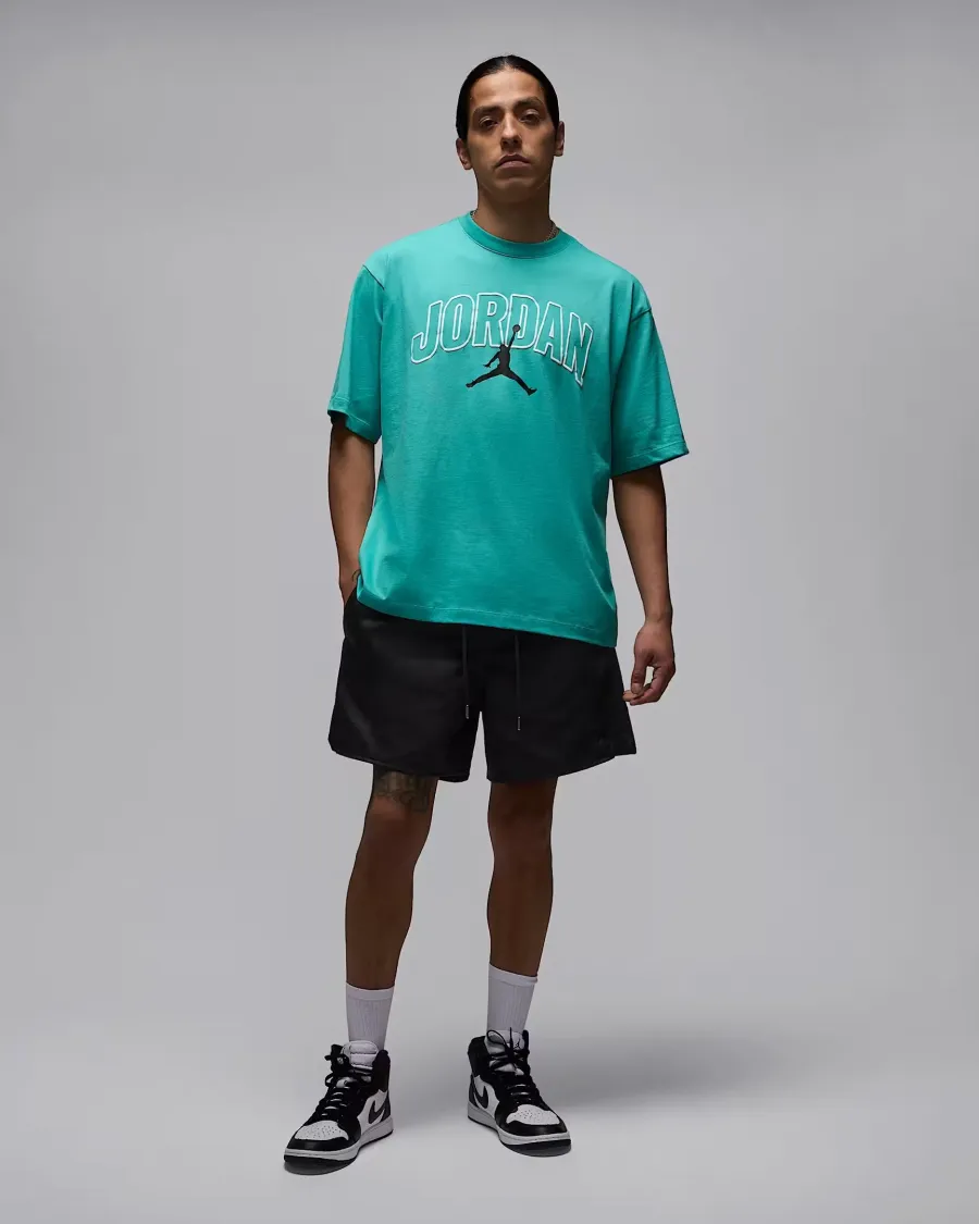 Футболка Nike Air Jordan Brooklyn IB7347-392